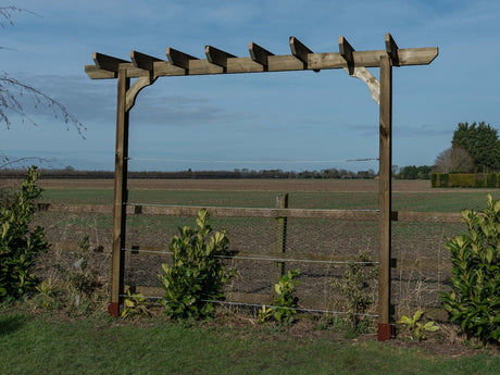 Chamfered Single Beam Pergola, Plant Climbing Arbour - Sculpted brace