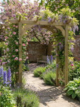 Corbel Double-Beam Timber Pergola & Climbing Plant Arbour – Decorative Garden Structure with Sculpted Braces