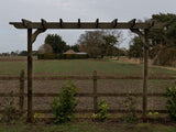 Sculpted Double Beam Pergola, Plant Climbing Arbour - Sculpted brace