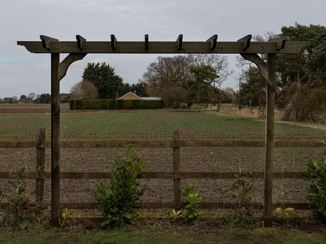 Sculpted Double Beam Pergola, Plant Climbing Arbour - Sculpted brace