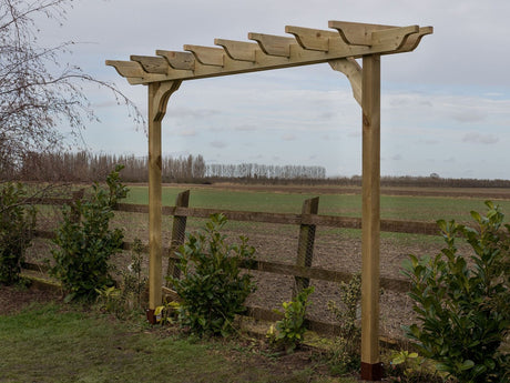 Sculpted Double Beam Pergola, Plant Climbing Arbour - Sculpted brace
