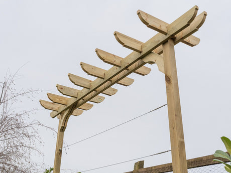 Corbel Double Beam Pergola, Plant Climbing Arbour - Sculpted brace