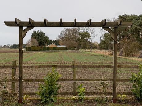 Corbel Double Beam Pergola, Plant Climbing Arbour - Sculpted brace